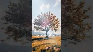 Seasons of life #leaves #quotes #lifequotes #inspirationalquotes #blossomz24