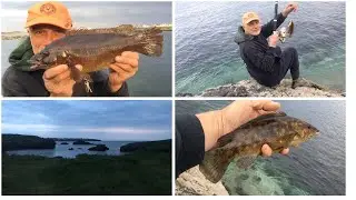 🎣 Wrasse fishing from the rocks at Trearddur Bay
