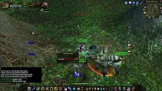 shaman tank lesser healing wave
