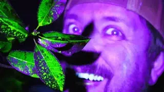Avatar Glowing Plants Test Number 1