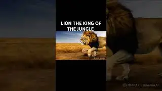 ROAR OF LION KING OF THE JUNGLE #bgm #music #lion #blacklion #bluelion #balckpanther #bigblues