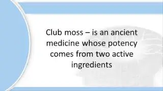Naturally substances help memory improvement