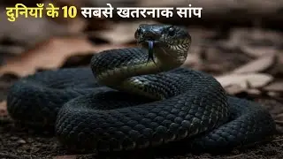This Beautiful Snake Paralyzes You While You&rsquo;re Awake 😳🐍