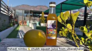 Pahadi nimbu chukh squash juice | Buy online pahadi food products
