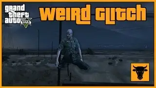 GTA - Weird Glitch