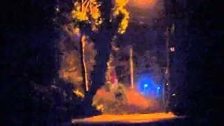 Tawny Owl Hooting