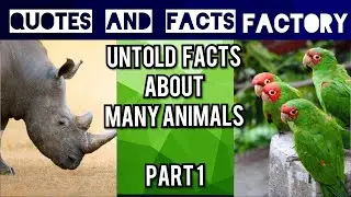 UNTOLD FACTS ABOUT ANIMALS PART 1 | ENGLISH | QUOTES AND FACTS FACTORY |