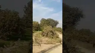 village