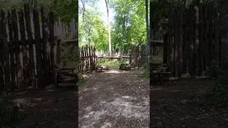 built this fort for you guys. #fort #backyard #guys #diy #bushcraft #dad