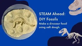 STEAM Ahead: DIY Fossils