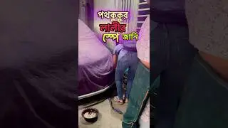 Stray Dog spay journey 🐕 #adoptstrays #dogs #dogvideo #spay_and_neuter #dogspay #animallovers