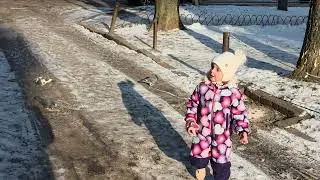 Голуби