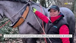 INITIATIVE : Julie et Icône, son cheval, apportent leur aide au débardage à Lesdins