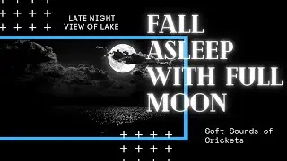 5 hours of Beautiful Late Night View of Lake | Fall Asleep with Full Moon & Soft Sounds of Crickets.