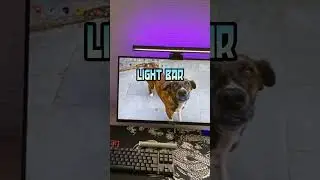 PRODUTOS GAMERS QUE VOC&Ecirc; PRECISA TER NO SEU SETUP
