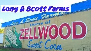 Long & Scott Farms | Zellwood, Florida | Agritourism