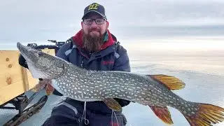 Gator (Pike) Fest 2023! Will we catch the biggest Lake Michigan Northern Pike?!