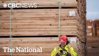 New U.S. tariffs on cabinets, softwood lumber go into effect