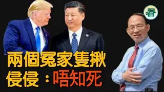 何良懋先生：兩個冤家隻揪，侵侵：唔知死......