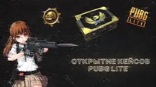 ПОСЛЕ ТАКОГО УДАЛЯЮТ ИГРУ! - ОТКРЫТИЕ КЕЙСОВ В PUBG Lite