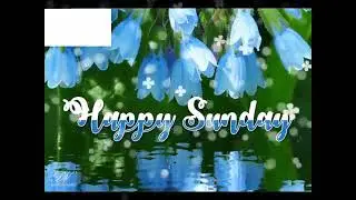 happy Sunday #sunday #sunday #happy Sunday #happy day