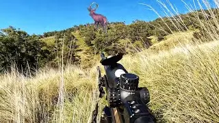 DAY 3 - Rut / Roar Trip 2025 - RED STAG DOWN