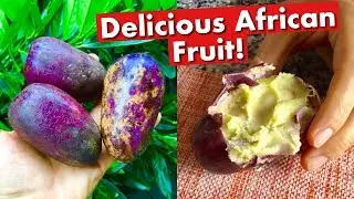 Do You Know This Mouth-Watering Fruit?