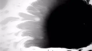 Black Ink Drops In Water Stock Video