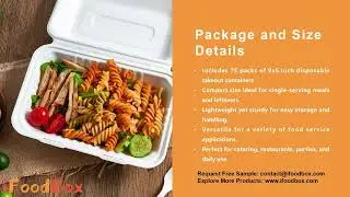 Direct Bulk Orders 9&times;6 inch Clamshell Take Out Food Containers - To Go Boxes for Food Salad