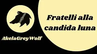 AkelaGreyWolf - Fratelli alla candida luna - Canto Scout - TESTO E ACCORDI