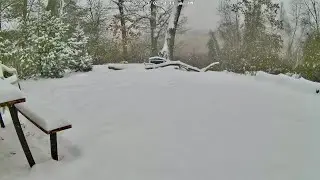 LIVE Snowy Scenery and Nighttime WILDLIFE Watch!!!