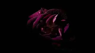 Sting - Travis Scott Dark Type Beat Prod. GTYSFSML