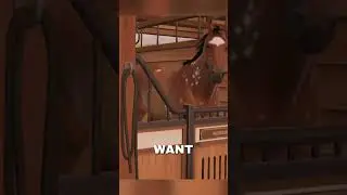 I WANT MY OWN HORSE ARMY