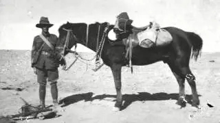 Tribute to New Zealand's War Horses
