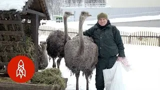 The Man Who Adopted a Zoo