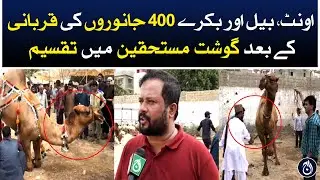 JDC Qurbani 2023 - Meat distribution after 400 animals sacrifice in Karachi - Aaj News