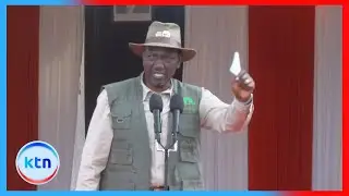President Ruto leads restoration of Mau forest complex in new conservation and livelihood plan