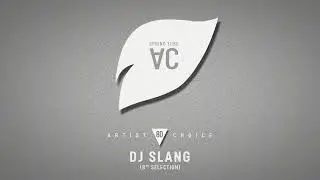 SlanG - Artist Choice 080 [8th Selection] (Continuous DJ Mix)