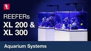 Red Sea&rsquo;s new REEFERs: XL 200 & XL 300 at CIPS 2019