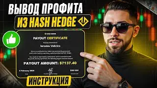 Как я вывел профит из Hash Hedge - полная инструкция. 7 137 $ за 16 минут.