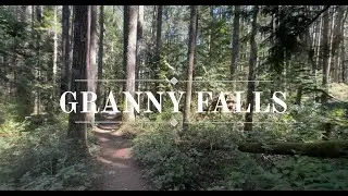 Granny Falls Forest Walk with Chip | ASMR Nature Sounds in Nanaimo, Vancouver Island
