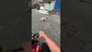 🤣🤣🤣