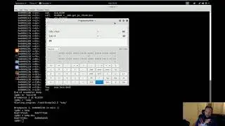 Demo3A - Format String Vulnerability and Exploit Variant