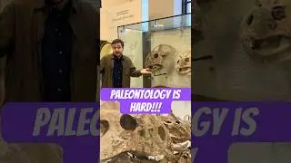 Paleontology is HARD!!