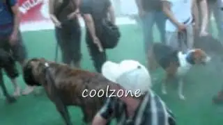 CoolZone Misting Services 2