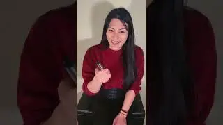 Streetwise Stun gun