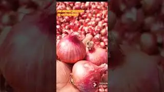 #onion sending to Hyderabad |  onion Exporter | onion wholesalers | Red onion wholesalers #shorts