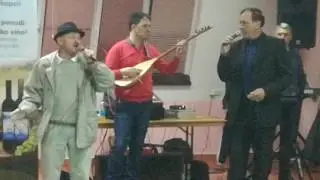 IZVORNA MUZIKA-NOVO -RADOVAN TOPREK & RAJKO MITROVIĆ