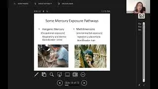 CUGH Virtual Week: Mercury Contamination & Exposures in the Amazon: Center of the Planetary Crisis