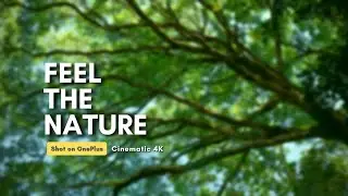 OnePlus Nord 2 Cinematic Video | Feel The Nature #shotononeplus